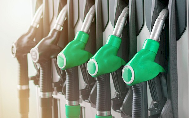 Shutterstock serphoto