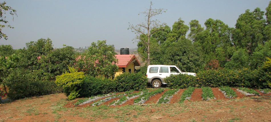 Vijay Kumar Gaba/Unsplash