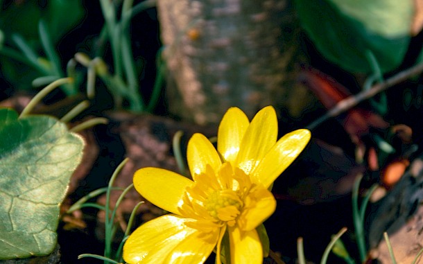 Doriana Popa/Unsplash