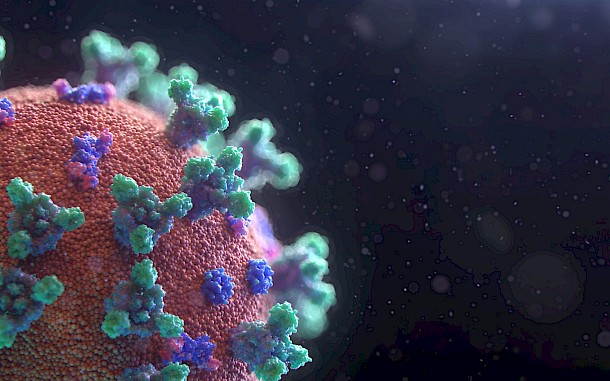 Fusion Medical Animation / Unsplash